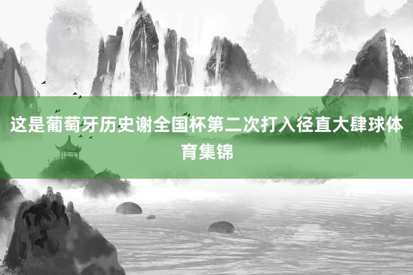 这是葡萄牙历史谢全国杯第二次打入径直大肆球体育集锦