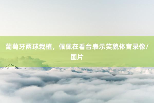 葡萄牙两球栽植，佩佩在看台表示笑貌体育录像/图片