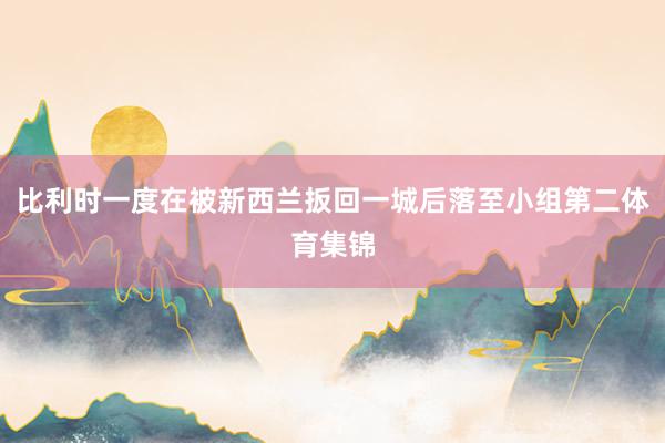 比利时一度在被新西兰扳回一城后落至小组第二体育集锦